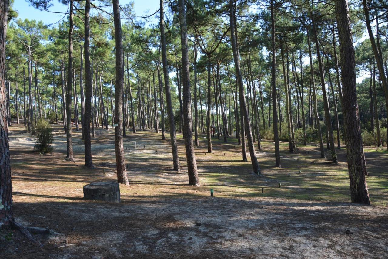 Wellness Sport Camping - La Dune Bleue Carcans Exterior photo